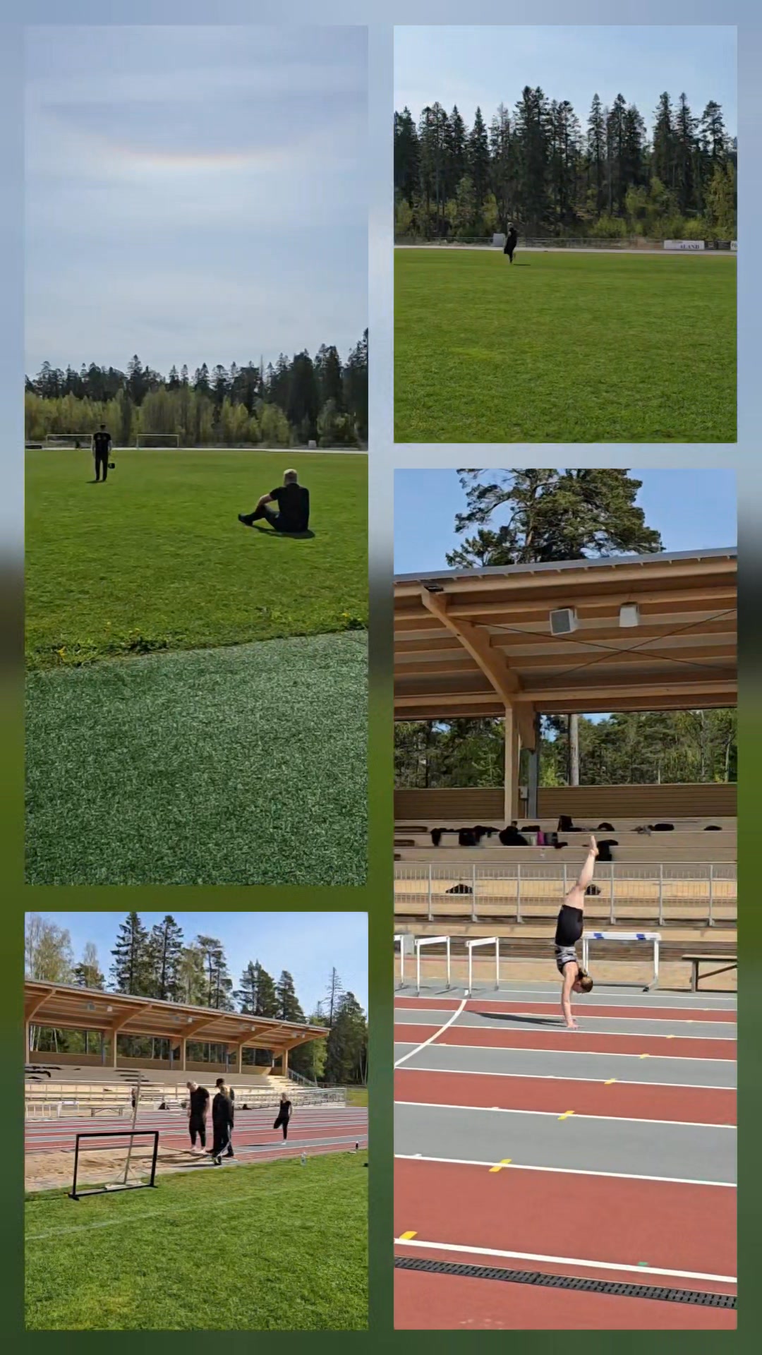 IF Raseborg