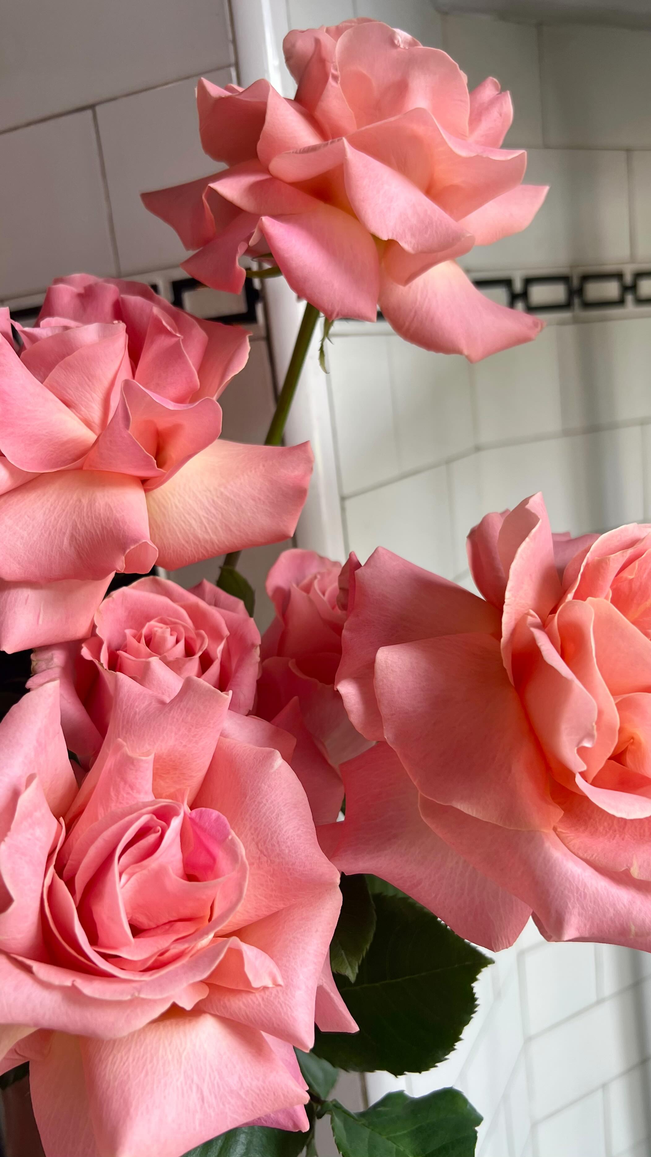 Reflexing Hermosa Rose- it’s not a new technique but it’s definitely a ...