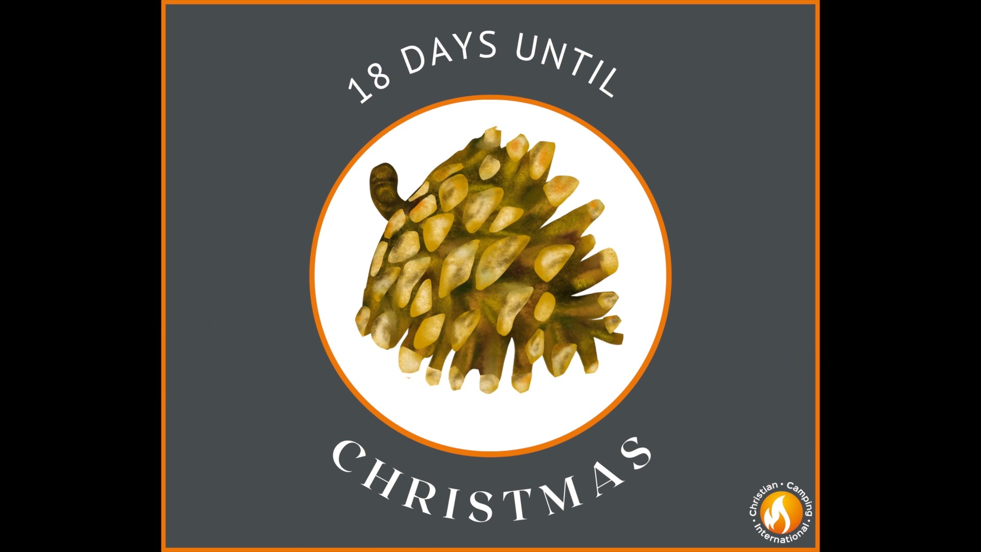 CCI Advent Countdown to Christmas - Day 7 