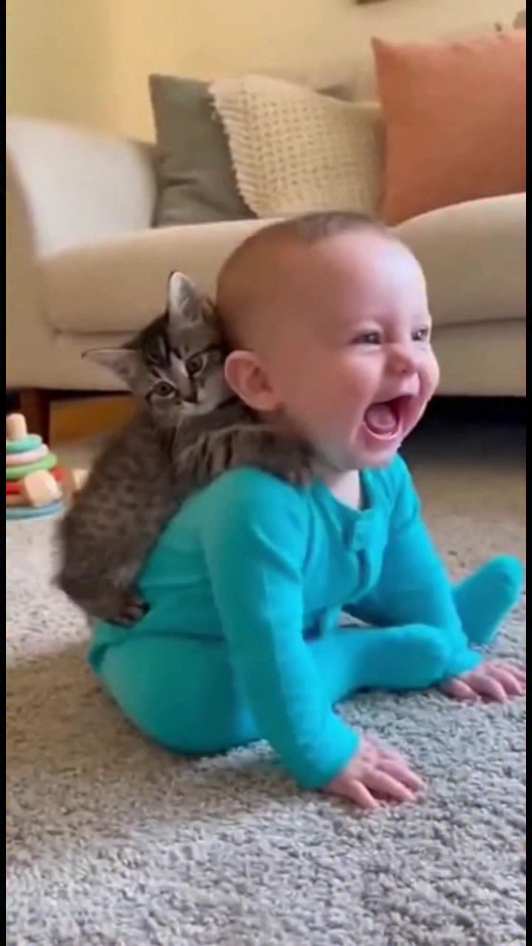 Risos e Ronronos: Bebê e Gatinho Risos e Ronronos: Bebê e Gatinho # ...