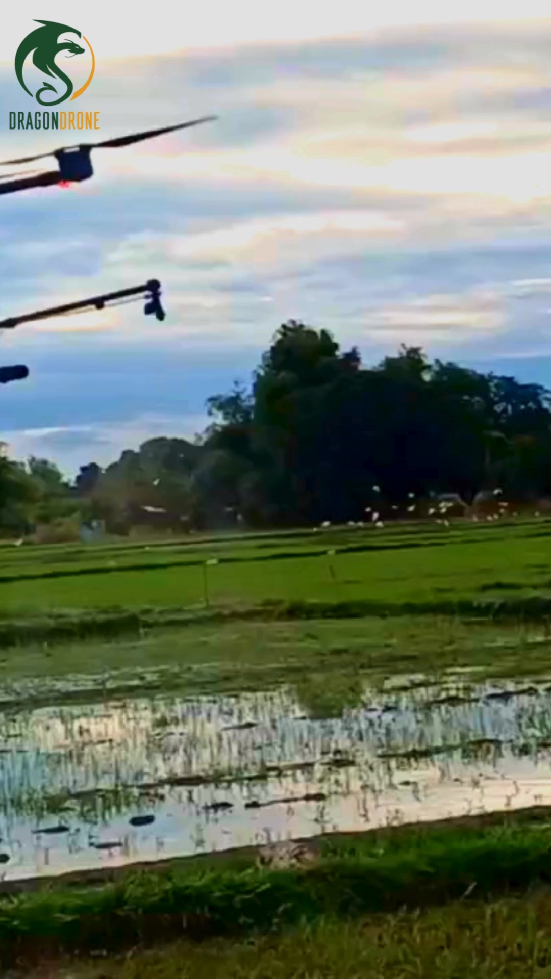 Dragon Drone PH | Bacolod CIty