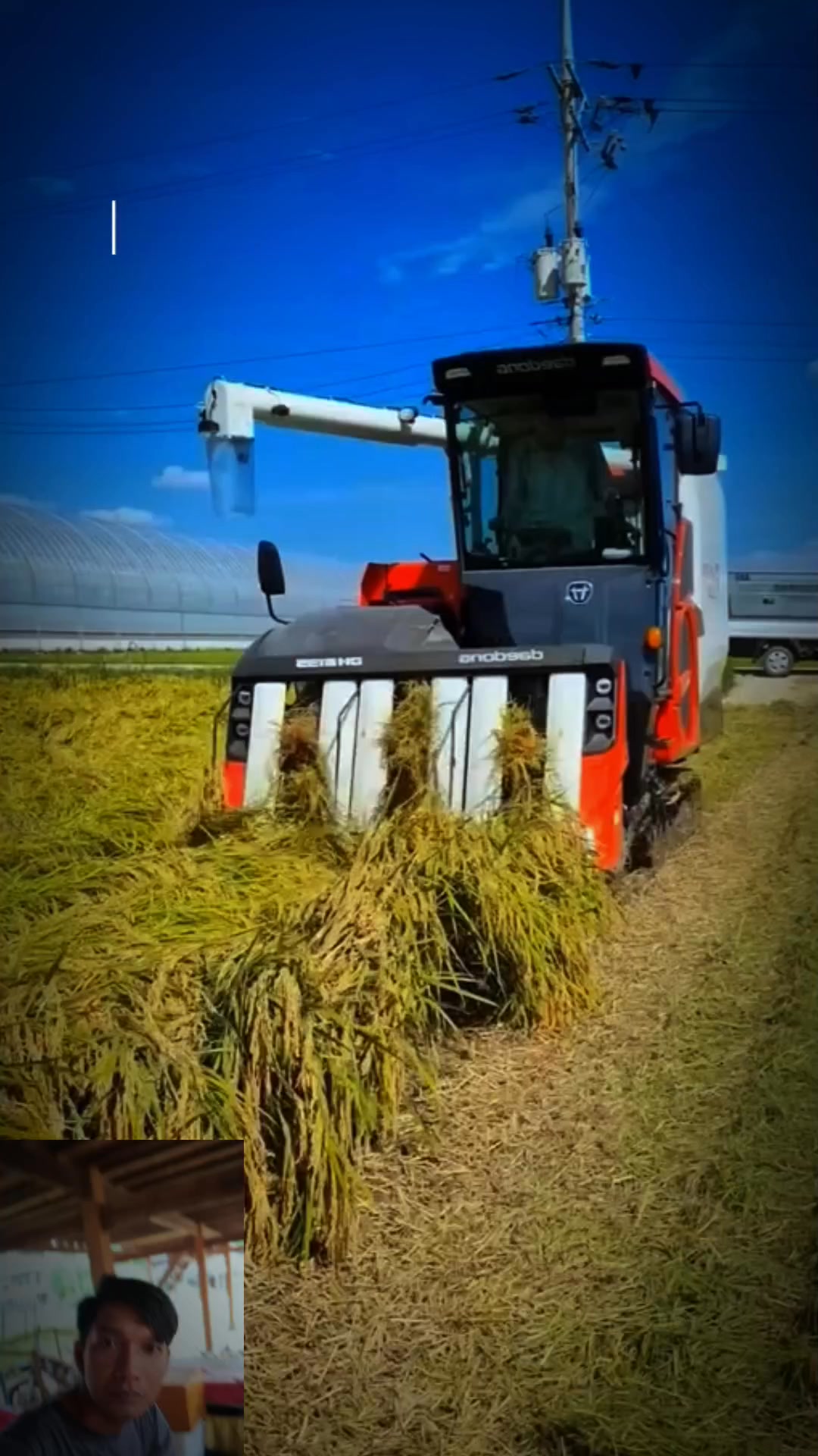 Advanced Rice Harvesting Machine #Combinemachine #petanimilenial ...