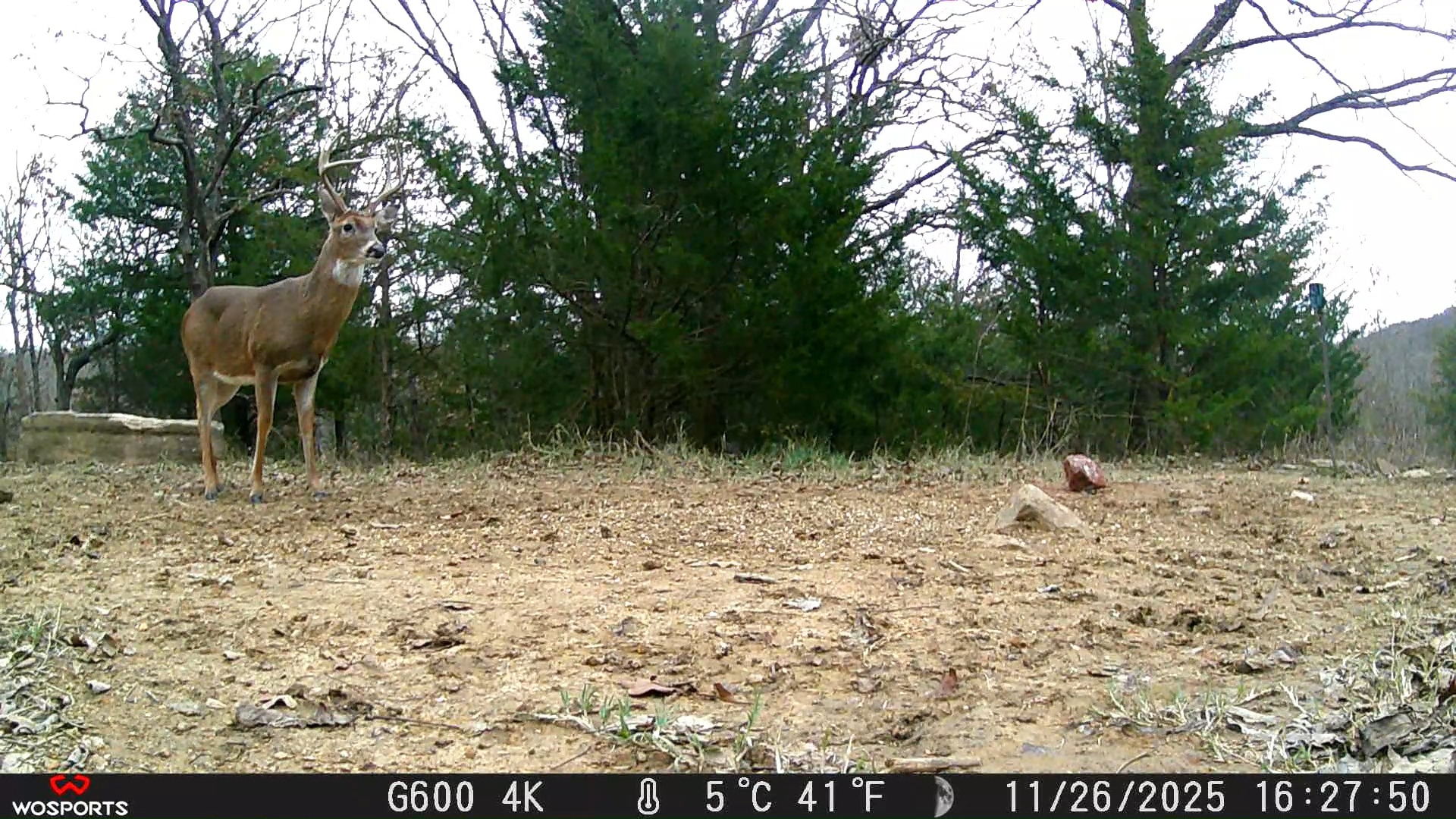 Three days remaining of gun season in Oklahoma. There are still a lot ...