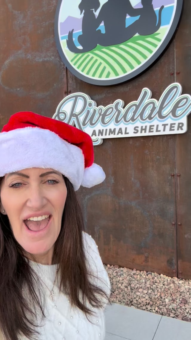 🎄Day 12 of RMV’s Dog (& Kitty) Days of Christmas Adoption Drive! Today ...
