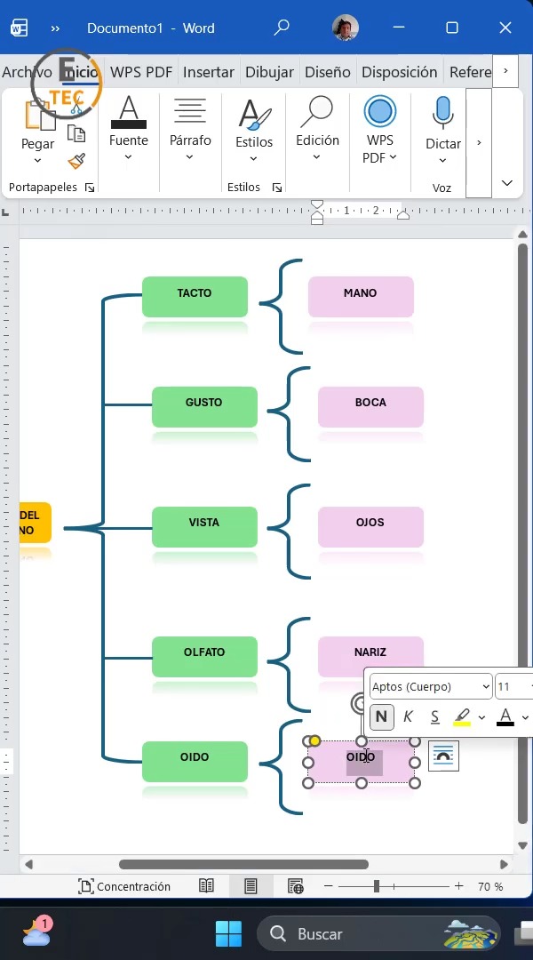 Aprende paso a paso cómo diseñar cuadros sinópticos claros y atractivos ...