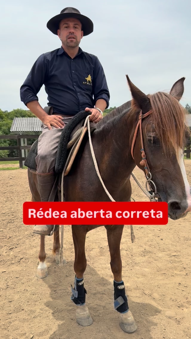 Você gosta de rédea aberta??? | Centro de Treinamento Daniel Cruz ...