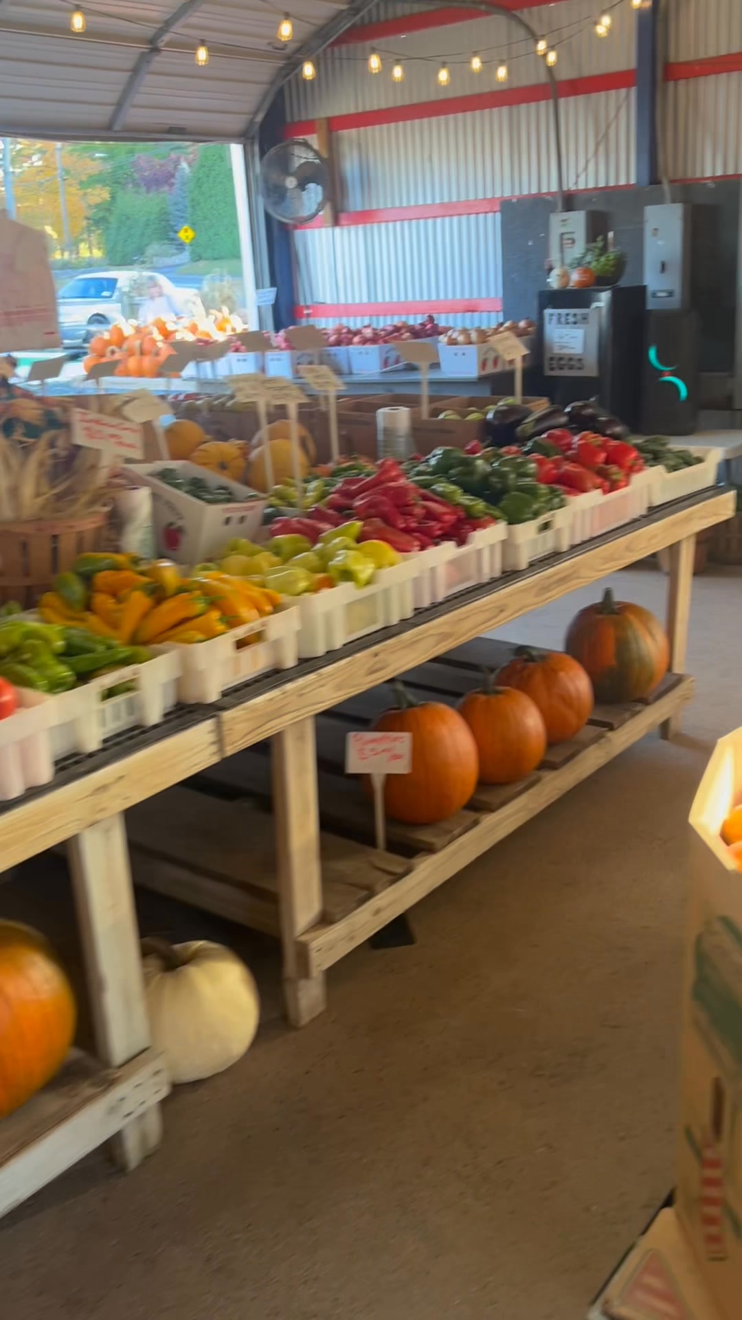 Cold Spring Brook Farm, Inc. | Berlin CT