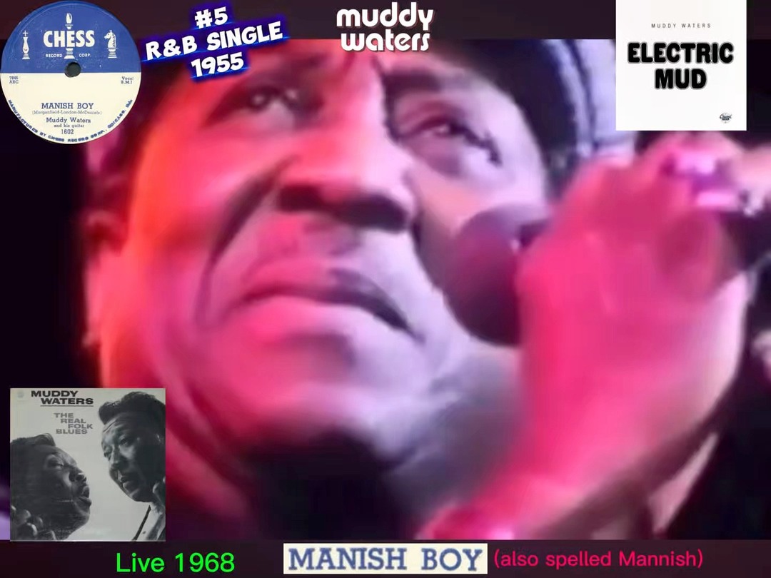 🇺🇸 Muddy Waters - Manish (Mannish) Boy #1955 (live in 1968