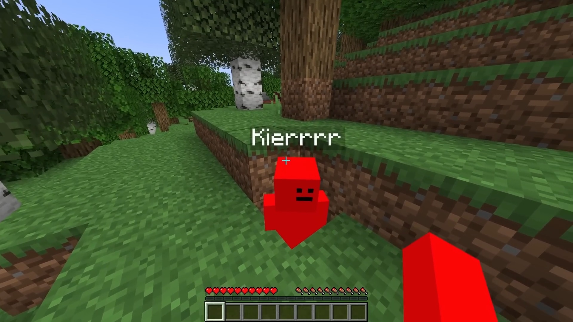 Minecraft Manhunt, But Dev Is The Twist.... | Minecraft, video ...