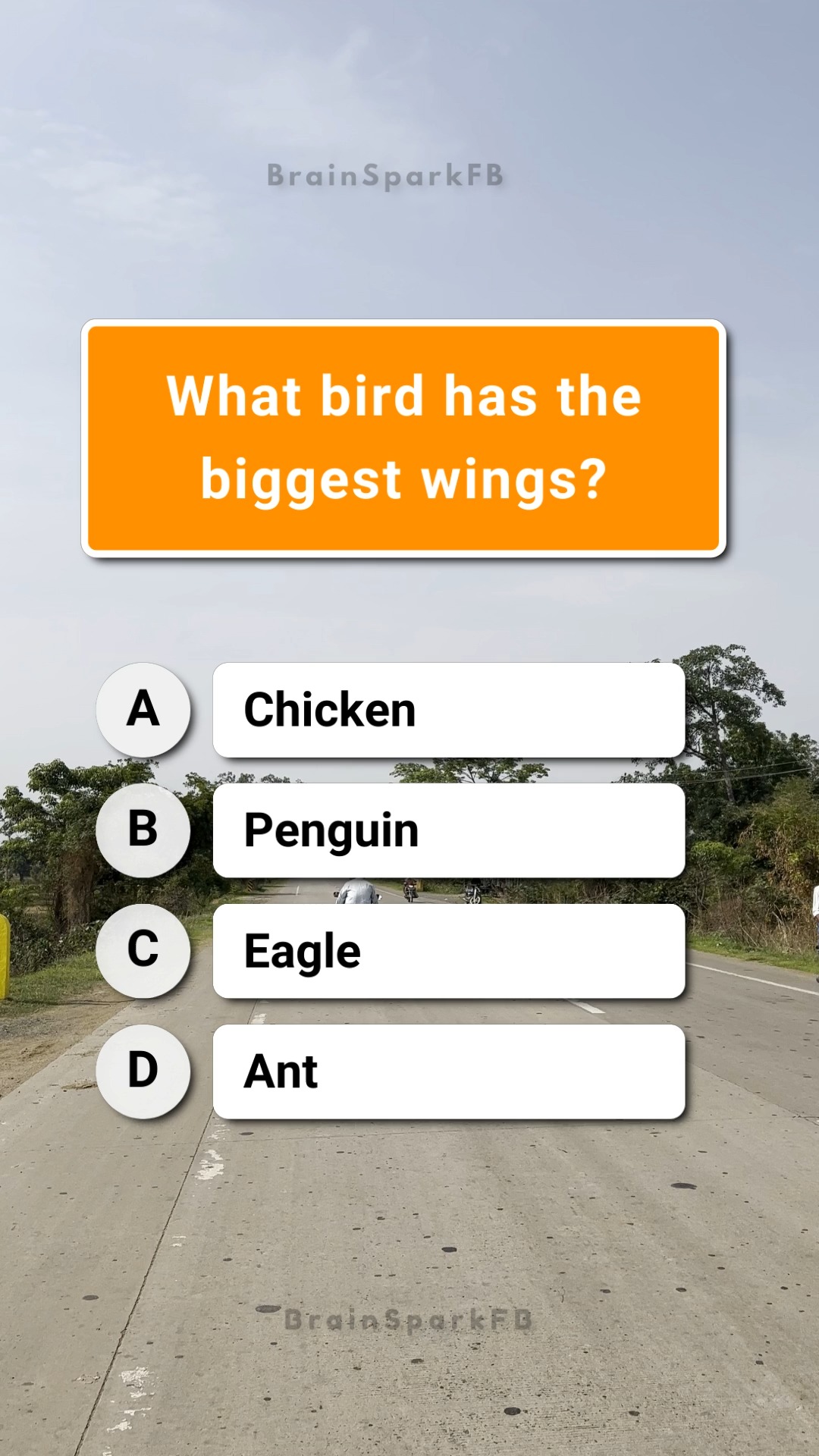 What bird has the biggest wings? 🦅 Drop your guess! #BrainTeasers # ...