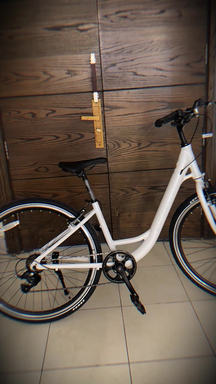 fully e bike 2021 Turbo Levo 4 Comp Alloy Olivenöl im Schrank oder Katzennahrung duty gearing of the Größe:Snackpack (17g)