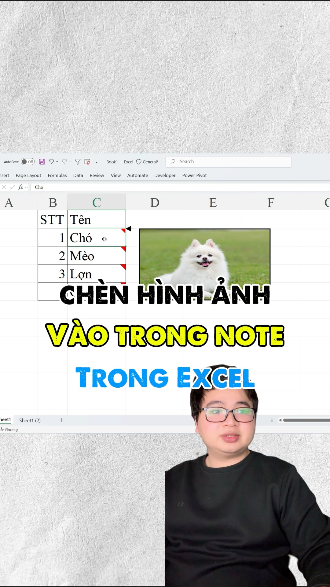 Cách chèn hình ảnh vào trong note trong excel #tinhocvanphong # ...