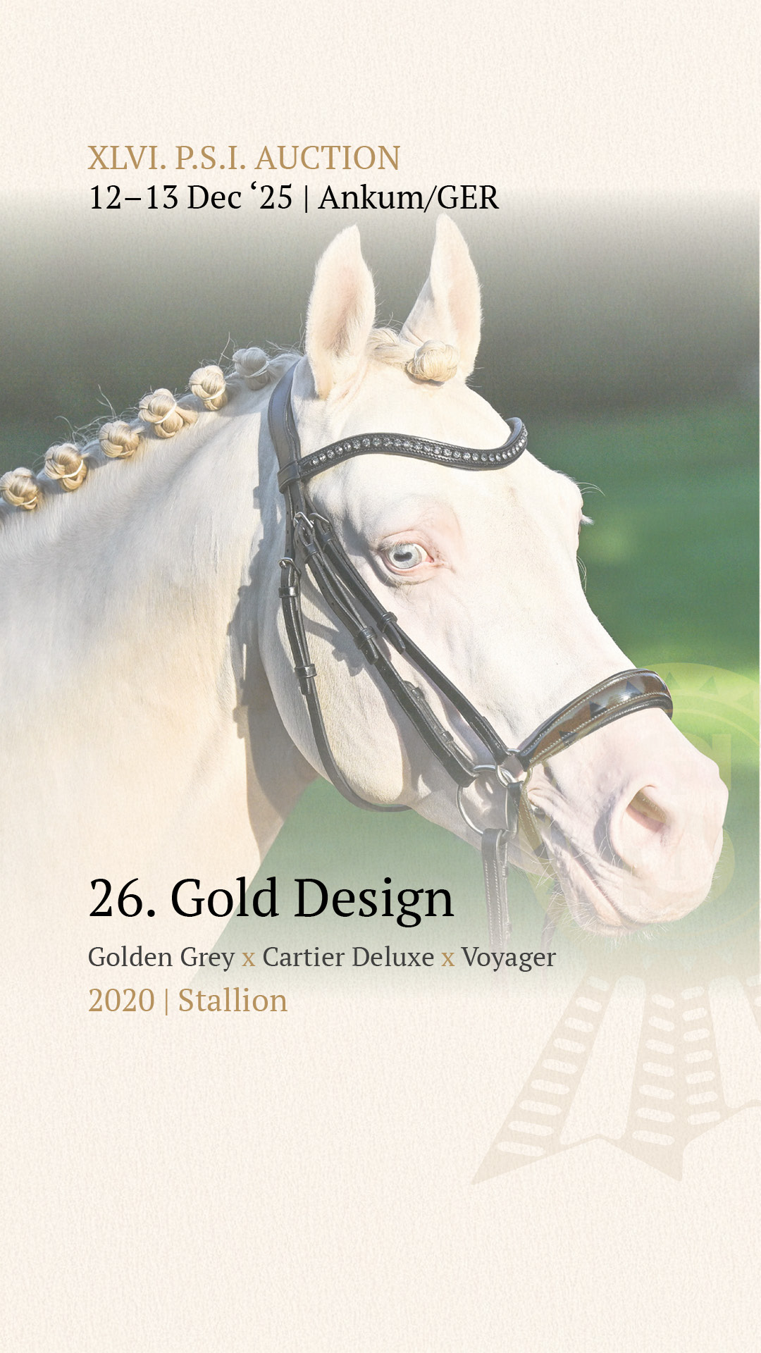 ✨46th P.S.I. Auction - December 12-13, 2025 ✨ Losandro – bred