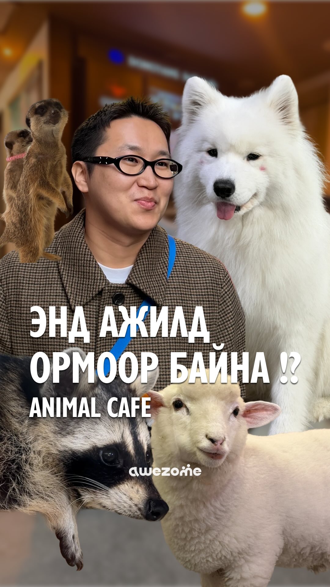 Hongdae-д Тимон болон өхөөрдөм амьтдыг үзэхээр явцгаах уу? 😎☝️ Өхөөрдөм ...