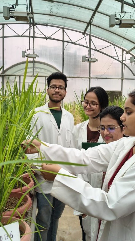 ICGEB 2026 Fellowship Call Opens #PhD #Postdoc #research for nationals ...