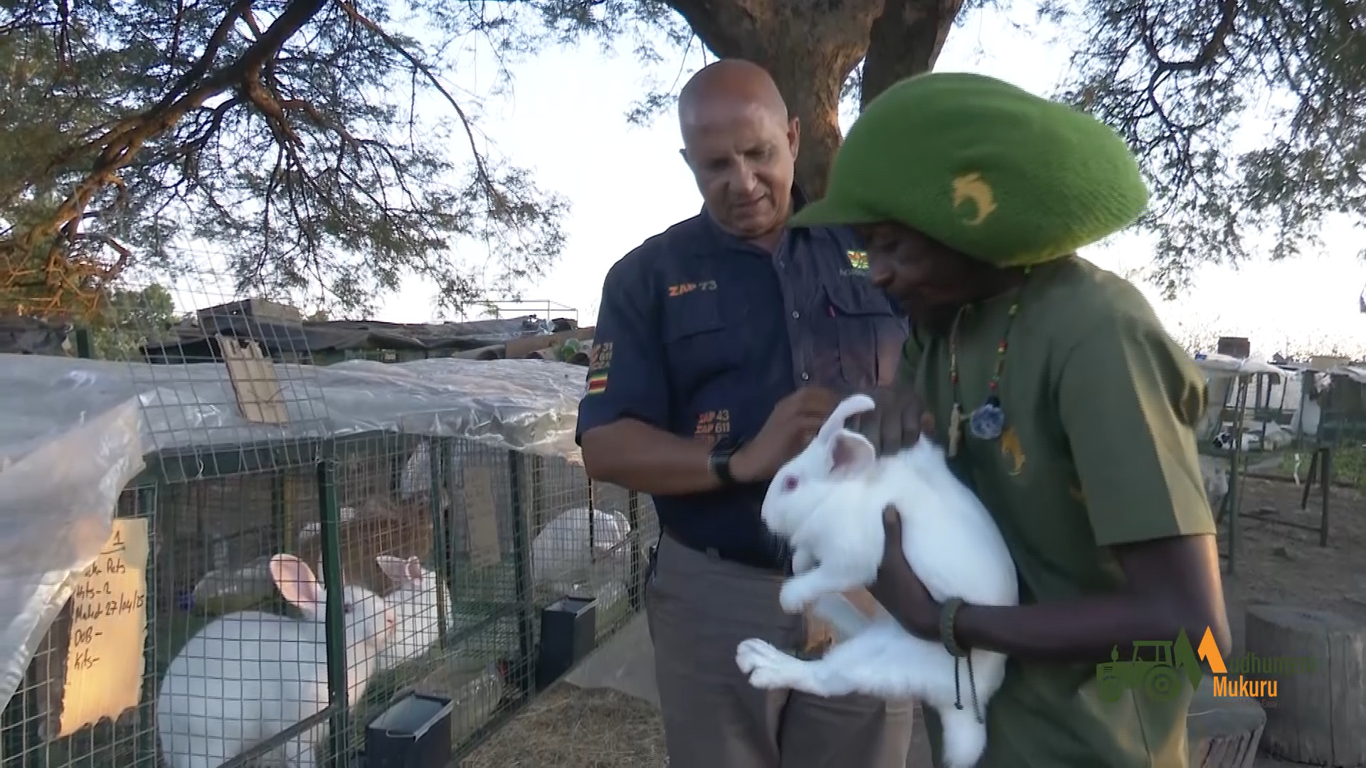 Meet Mr Tsuro a rabbit breeder who has been in this business for years ...