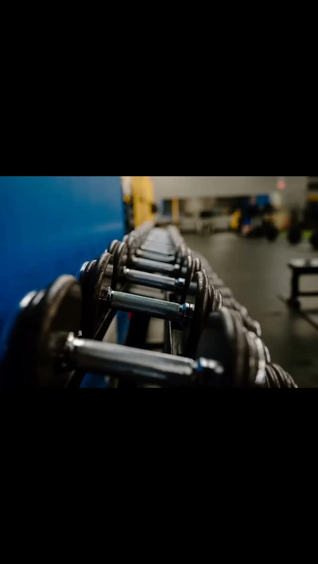 Dynamic Training | Lockport NY