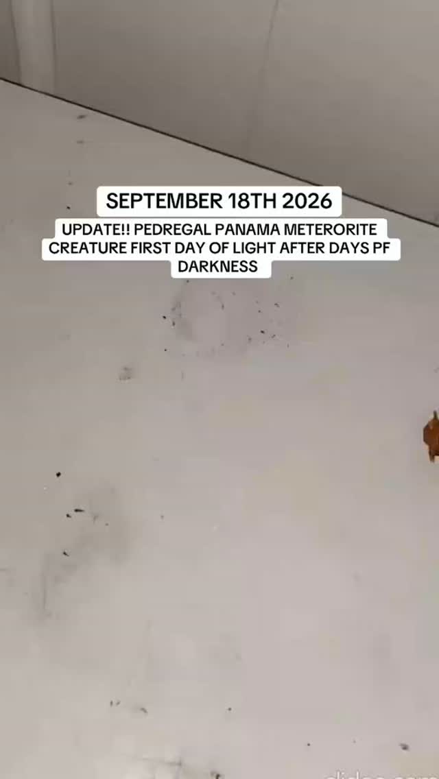 UPDATE!! Pedregal Panama 🇵🇦 Meteorite Creature Venom: after many days ...