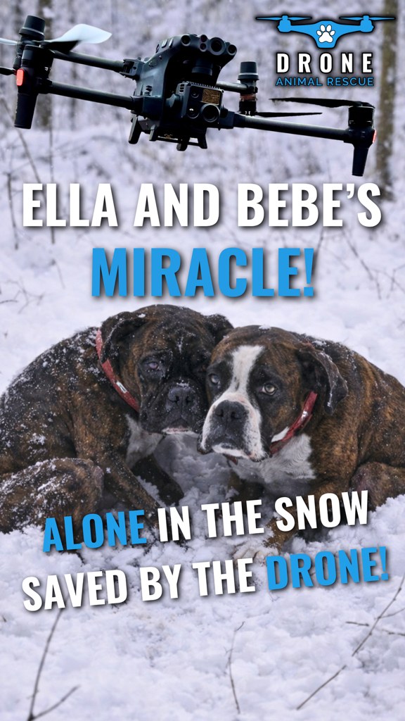 ️🐾 SNOWSTORM SURVIVAL 🐾 ️ Part 1... - Drone Animal Rescue | Facebook