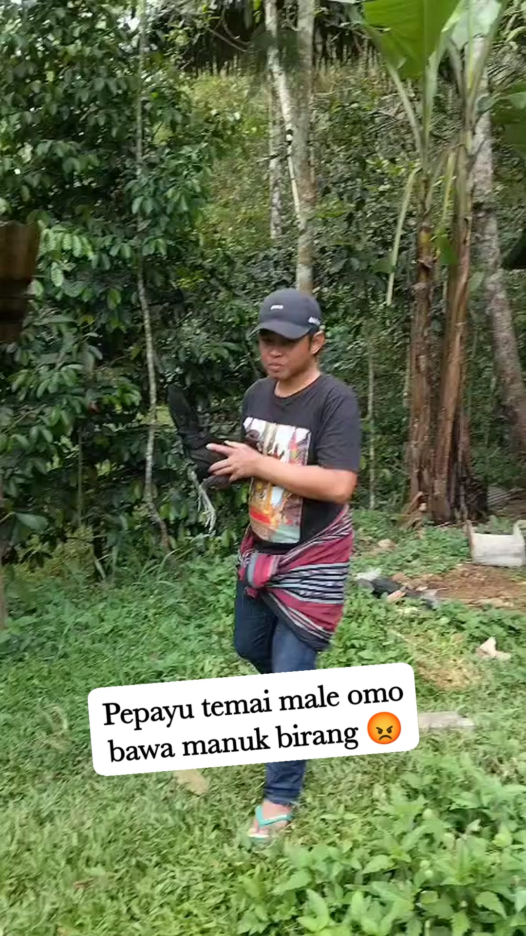 Pepayu temai male omo bawa manuk birang eee 😡 #reels #hiburan | Febry L ...
