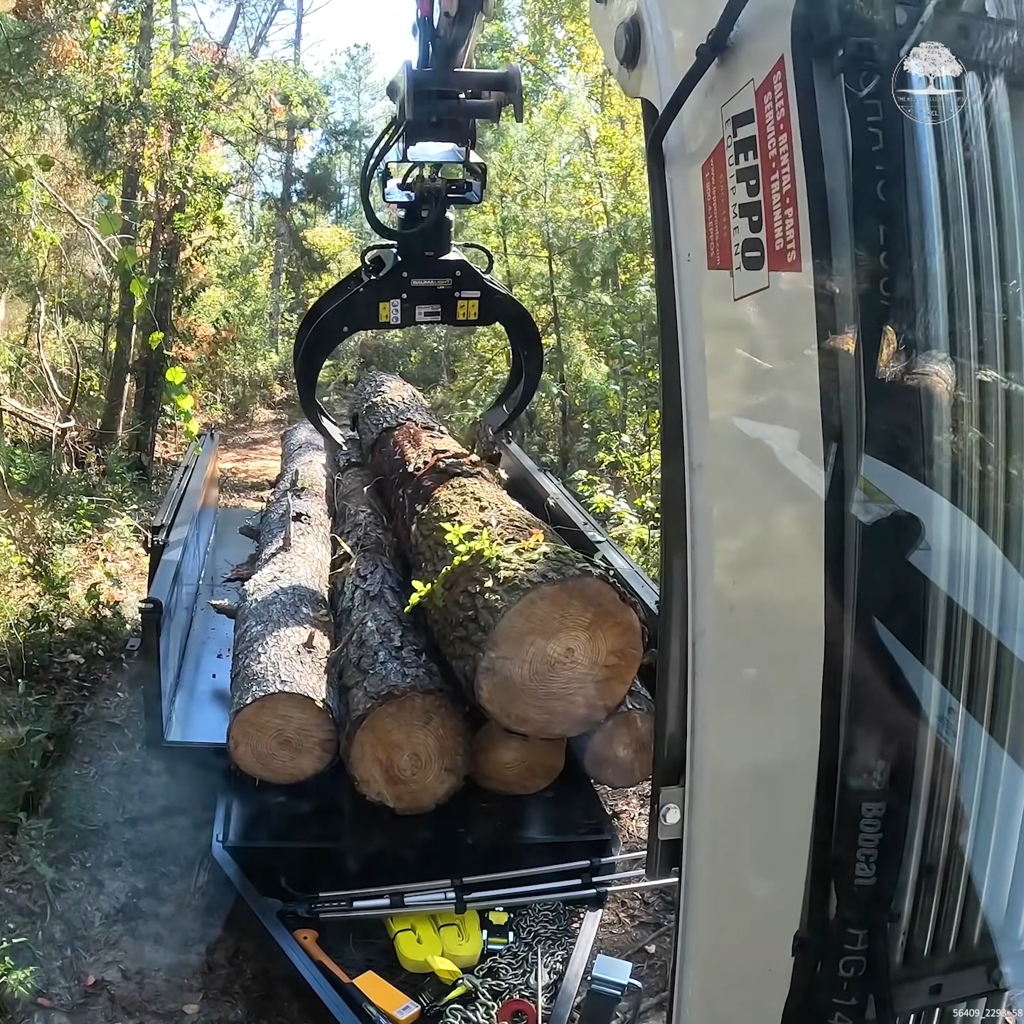 I Made the Perfect Logging Setup #LoggingLife #WoodProcessing # ...
