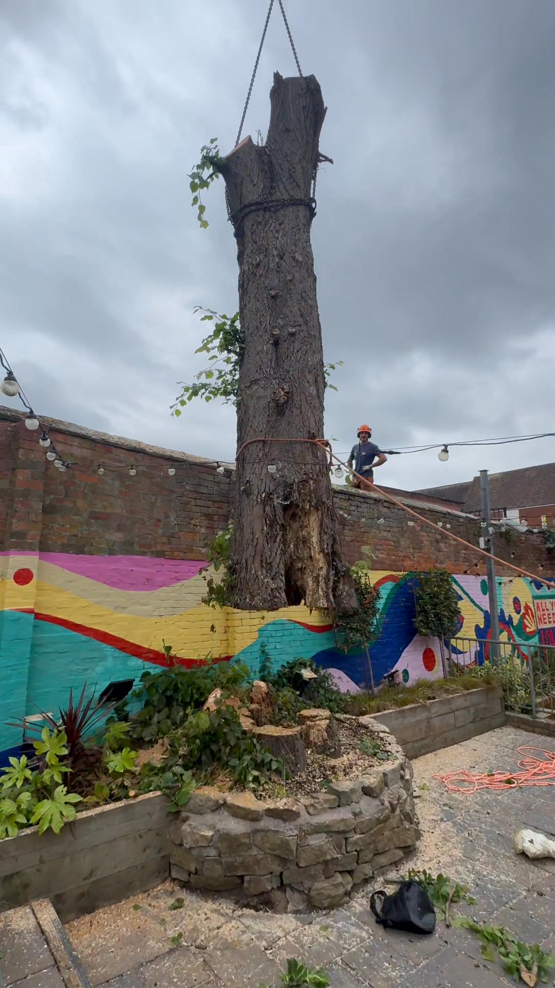 Reeves Tree Surgeons | Bromsgrove