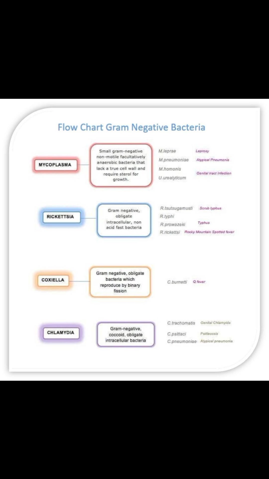 Flow Chart Gram Positive Bacteria and Gram Negative Bacteria Share ...