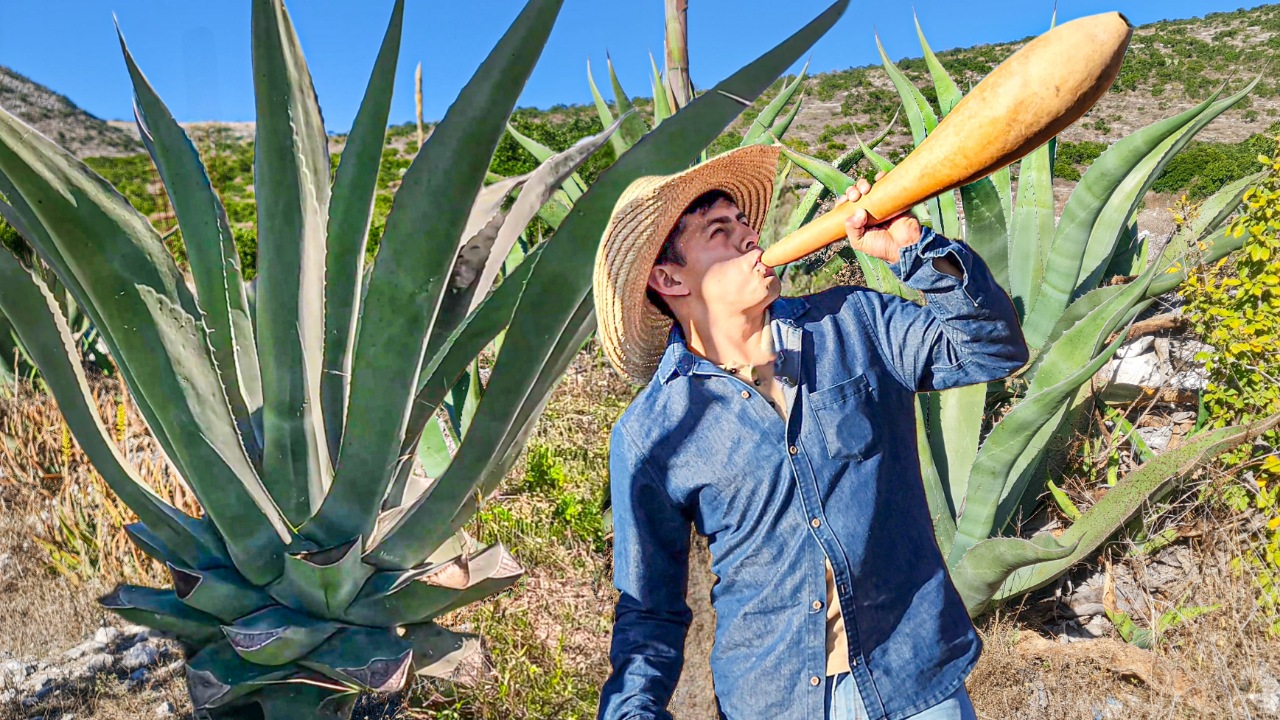 Así se Hace un Acocote para sacar el Aguamiel del Maguey | Javier meza ...