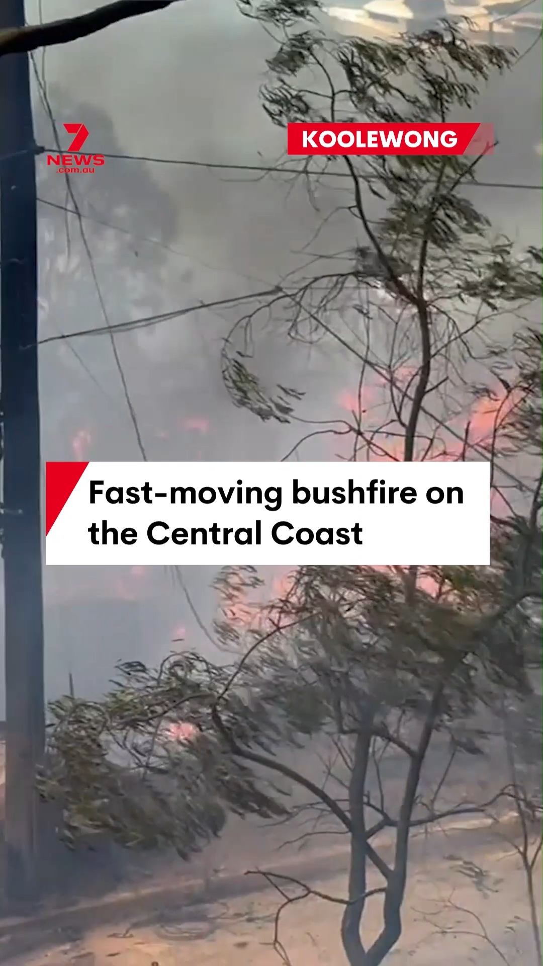 Waterfront homes have been razed by a ferocious and fast-moving ...