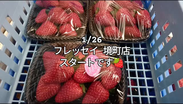 仙田いちご園