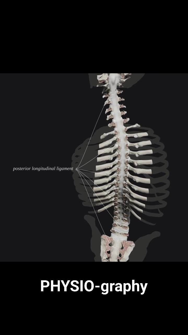 Rib cage movement #ribcagemobility #ribs #biomechanics #mobility # ...