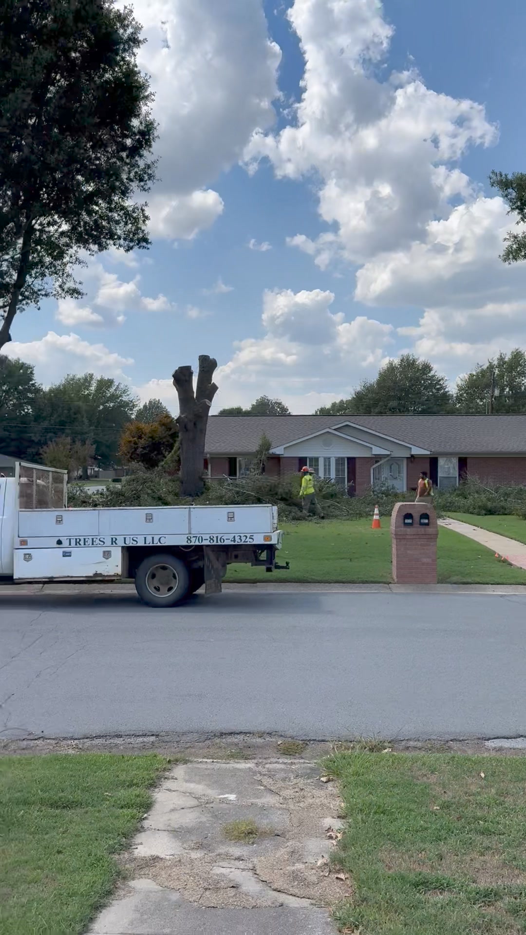 Trees R Us LLC