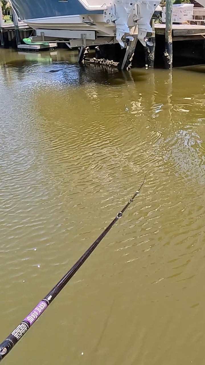 best baitcasting rod for skipping docks PowerSkipping Casting Bass Fishing test fluorocarbon for faster spool start up and reduced deep spool backlashes What is the best baitcasting