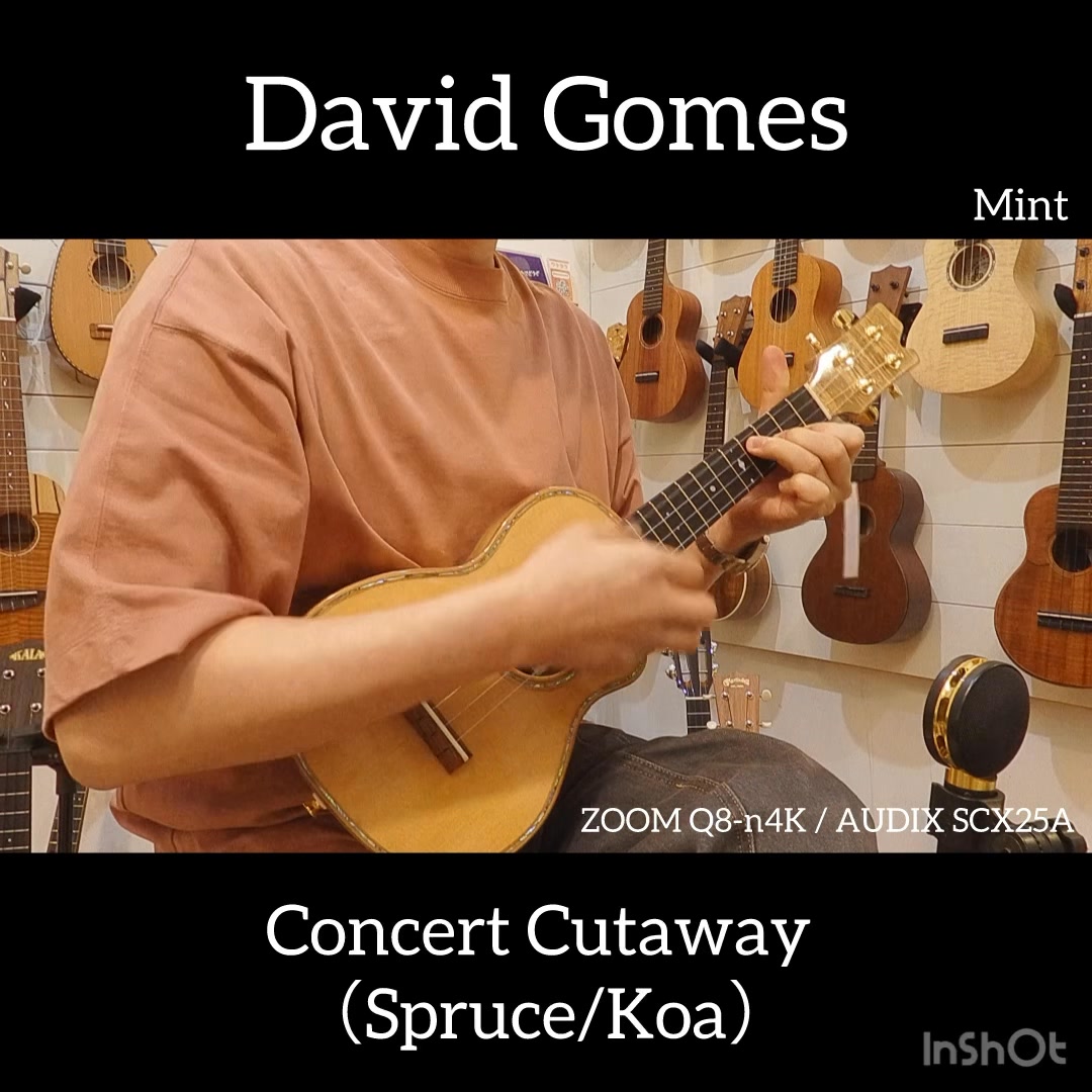 David Gomes Custom Concert Spruce / Madagascar Rosewood 入荷 