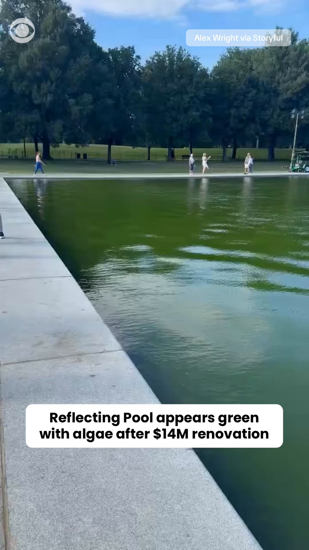 The Lincoln Memorial Reflecting Pool appeared to turn green after