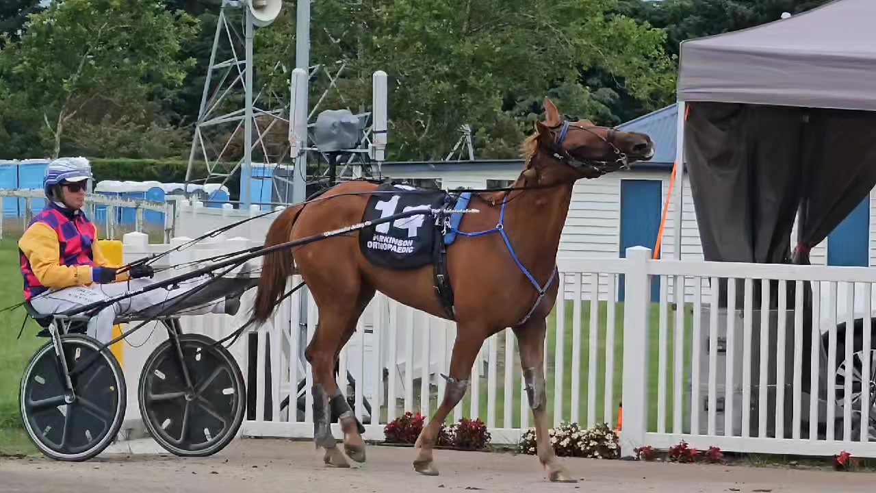 Unfortunately I was on the NZ TROTTING OWNERS ASSOCIATION BBQ for this ...