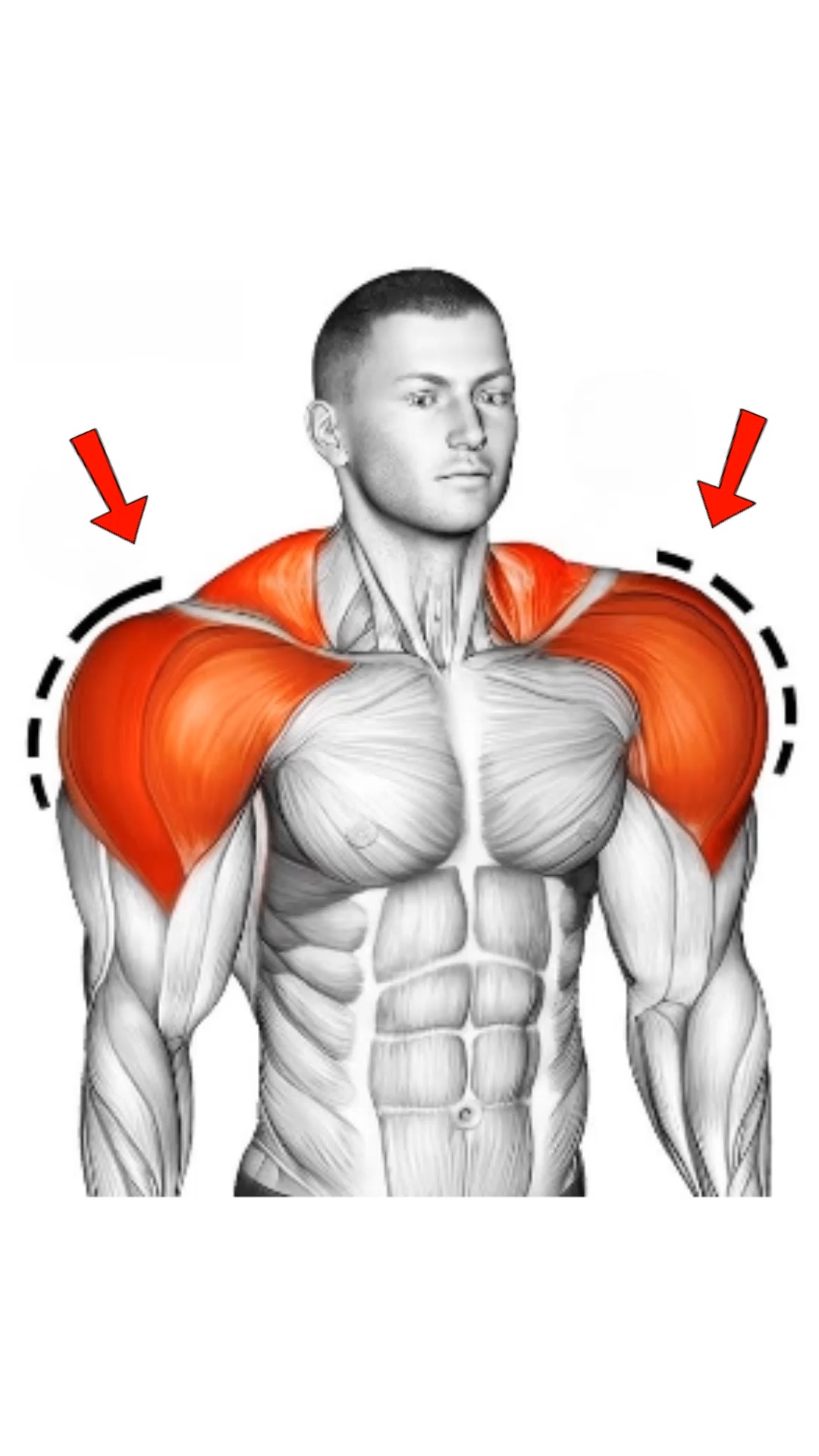 How to get bigger Shoulders 🔥 #exercise #fitness #workout #fit #gym ...