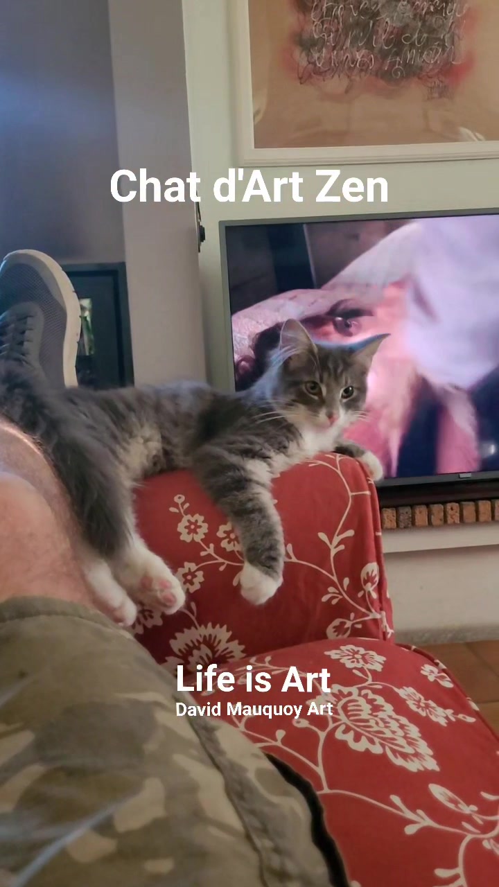 J'ai l'impression que Yarl mon chat Norvégien a d'autres intérêts que ...