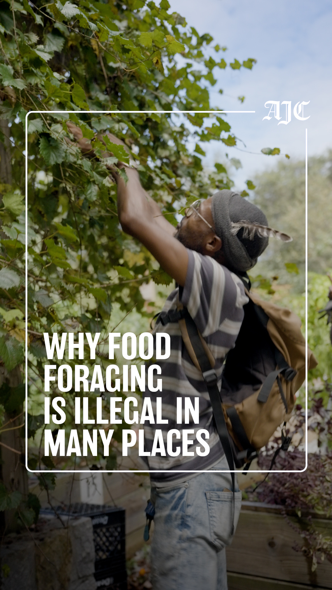 In Georgia, picking fruit off a tree could cost you $1,000 — unless you ...