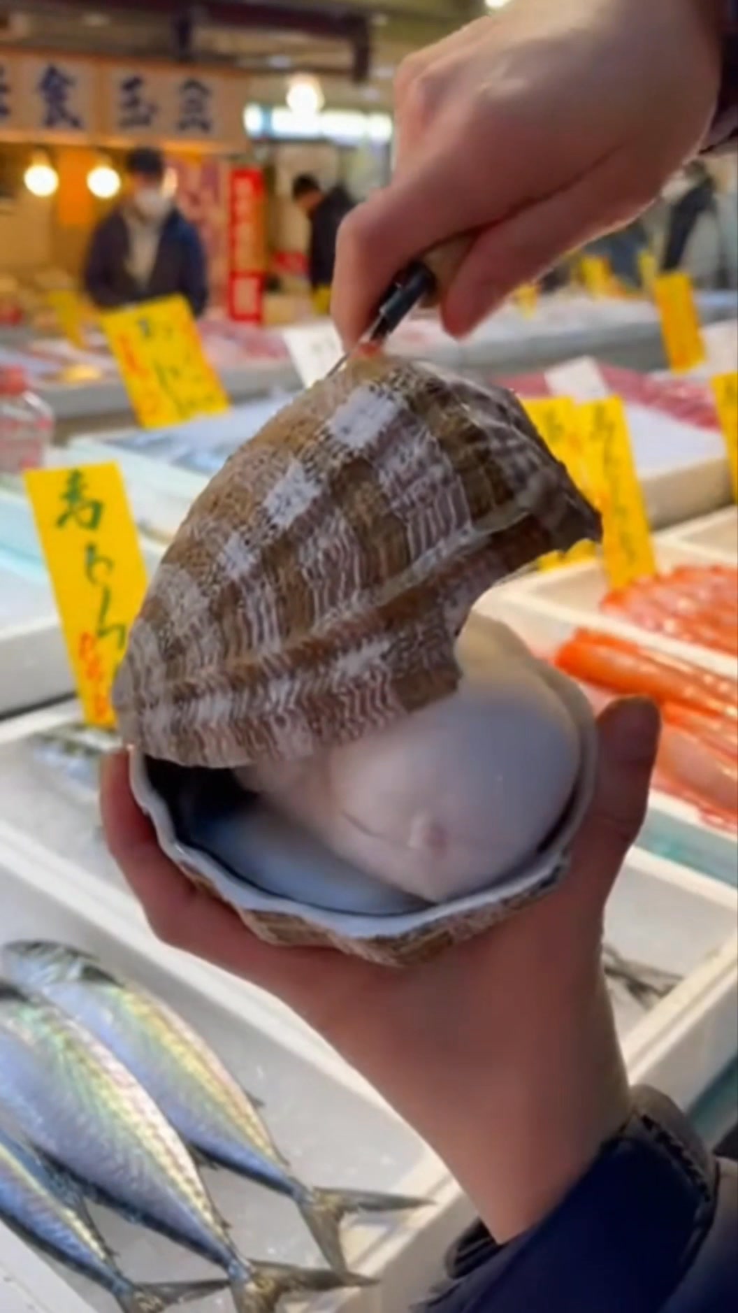 In the heart of a bustling Japanese fish market, a simple oyster ...
