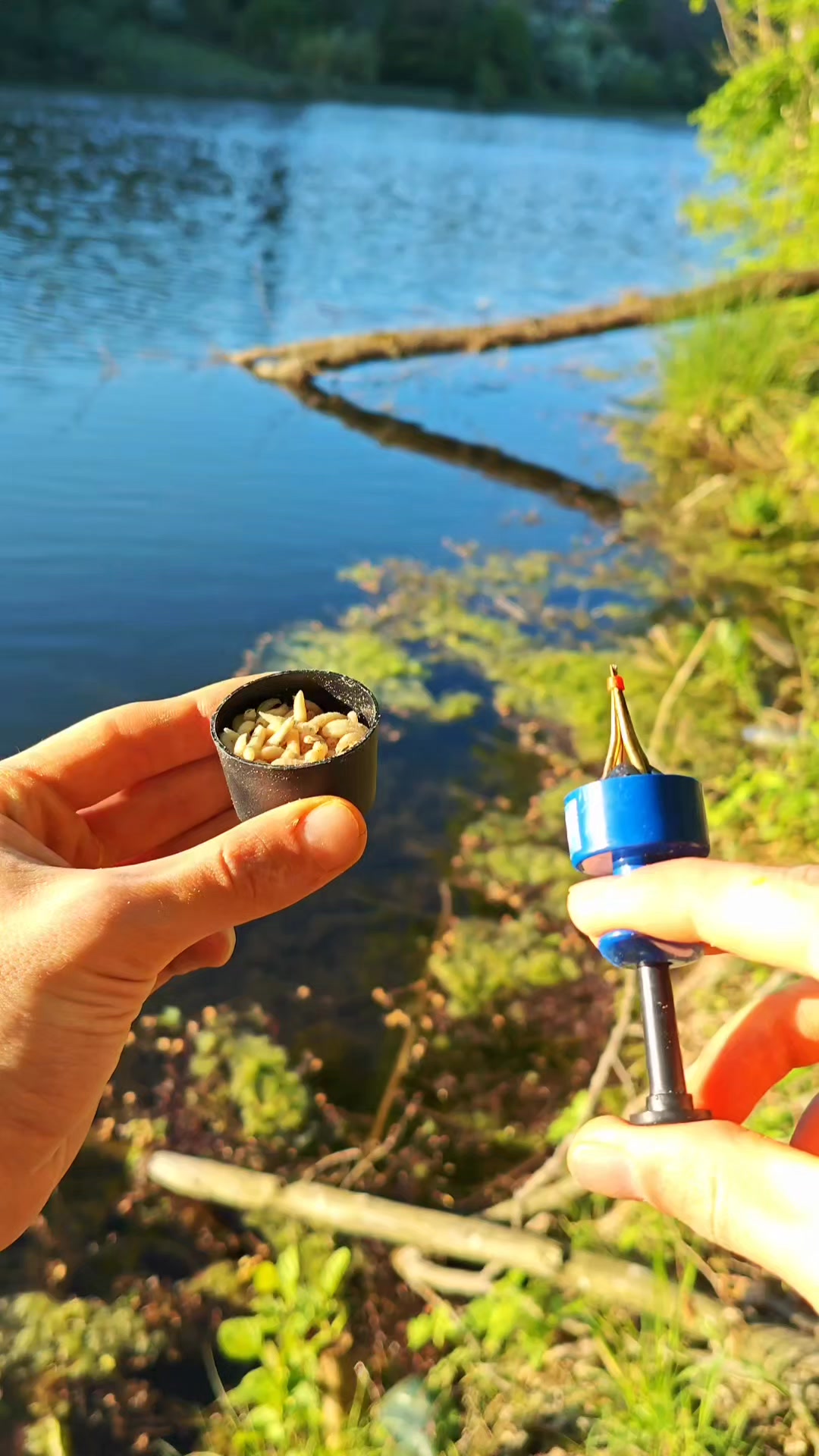 Fishing bait clipper tool fishing gear and tools #fishingtime # ...