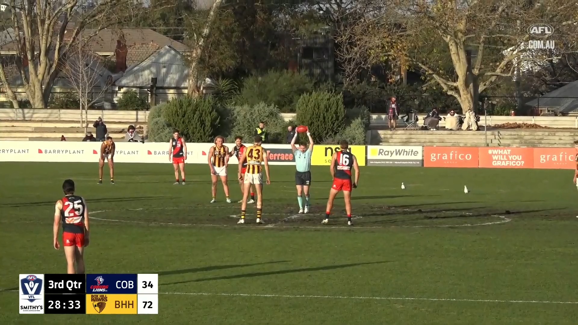 Finn Maginness was everywhere for the Box Hill Hawks on the weekend ...