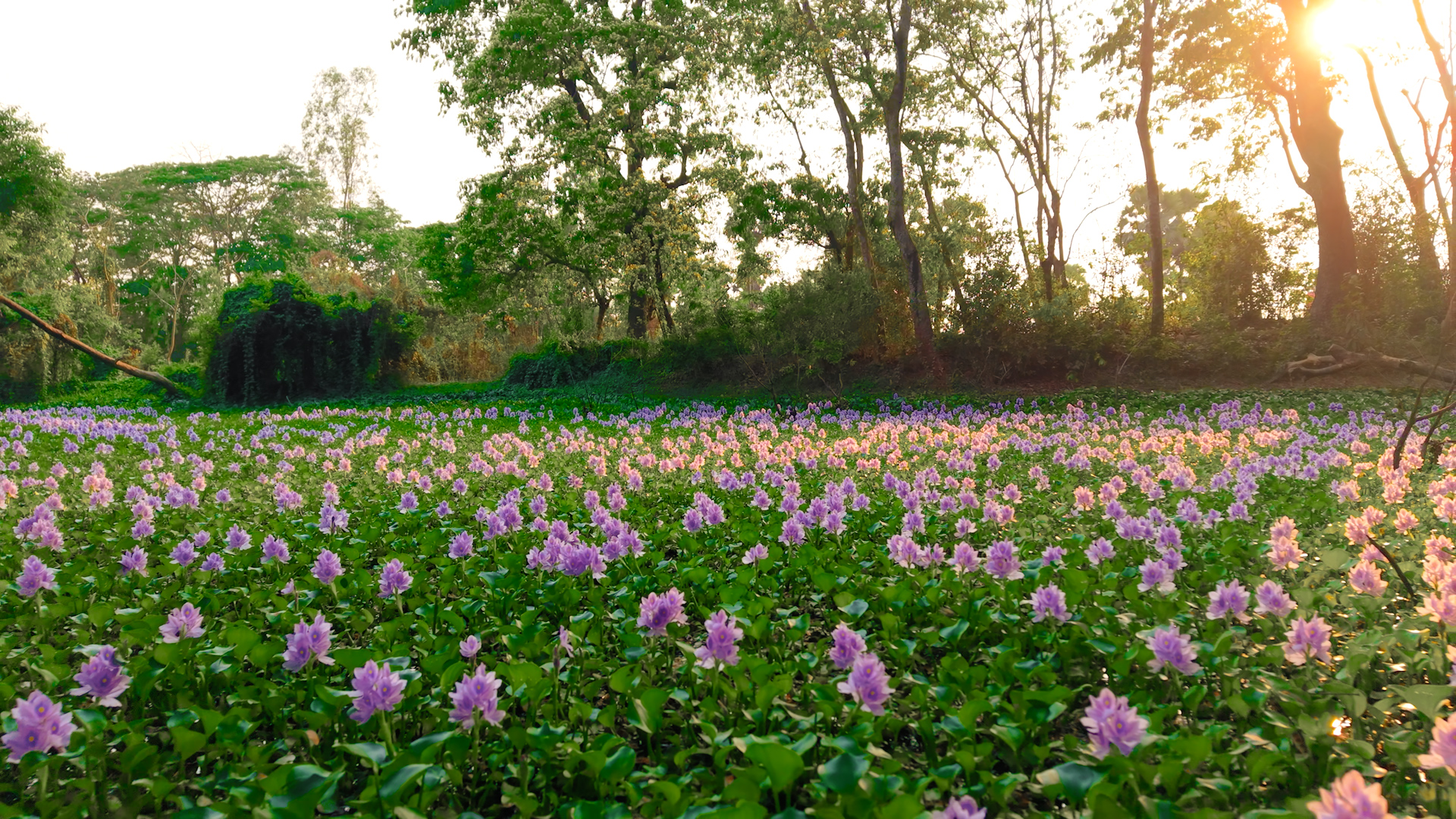 Unexpectedly discovered a beautiful spot near Potiya! # ...