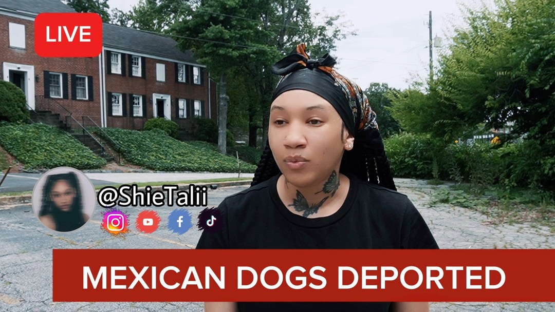 Not the dogs too! 🤧😭 | ShieTalii | Facebook