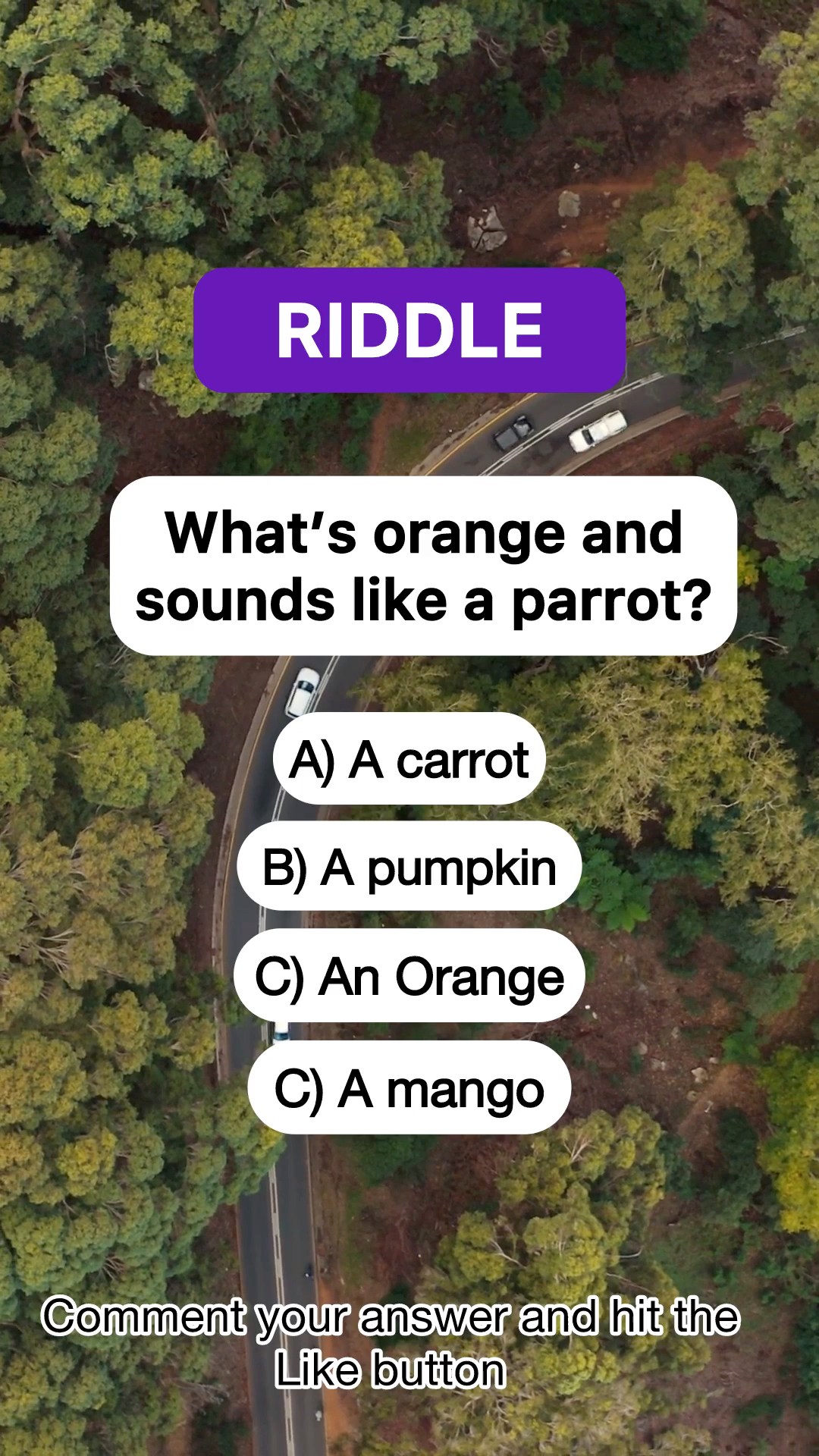 What’s orange and sounds like a parrot?#fblifestyle #riddles | Quiz Bel ...