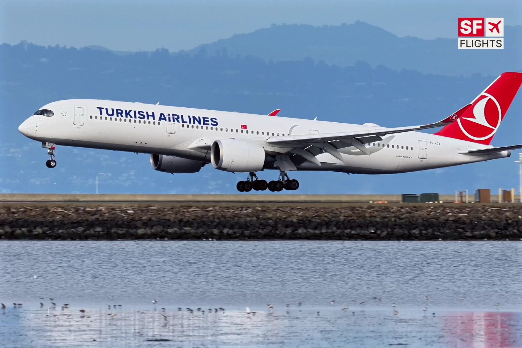 🛬 Turkish Airlines Airbus A350 (TC-LGZ) Smooth Arrival at San