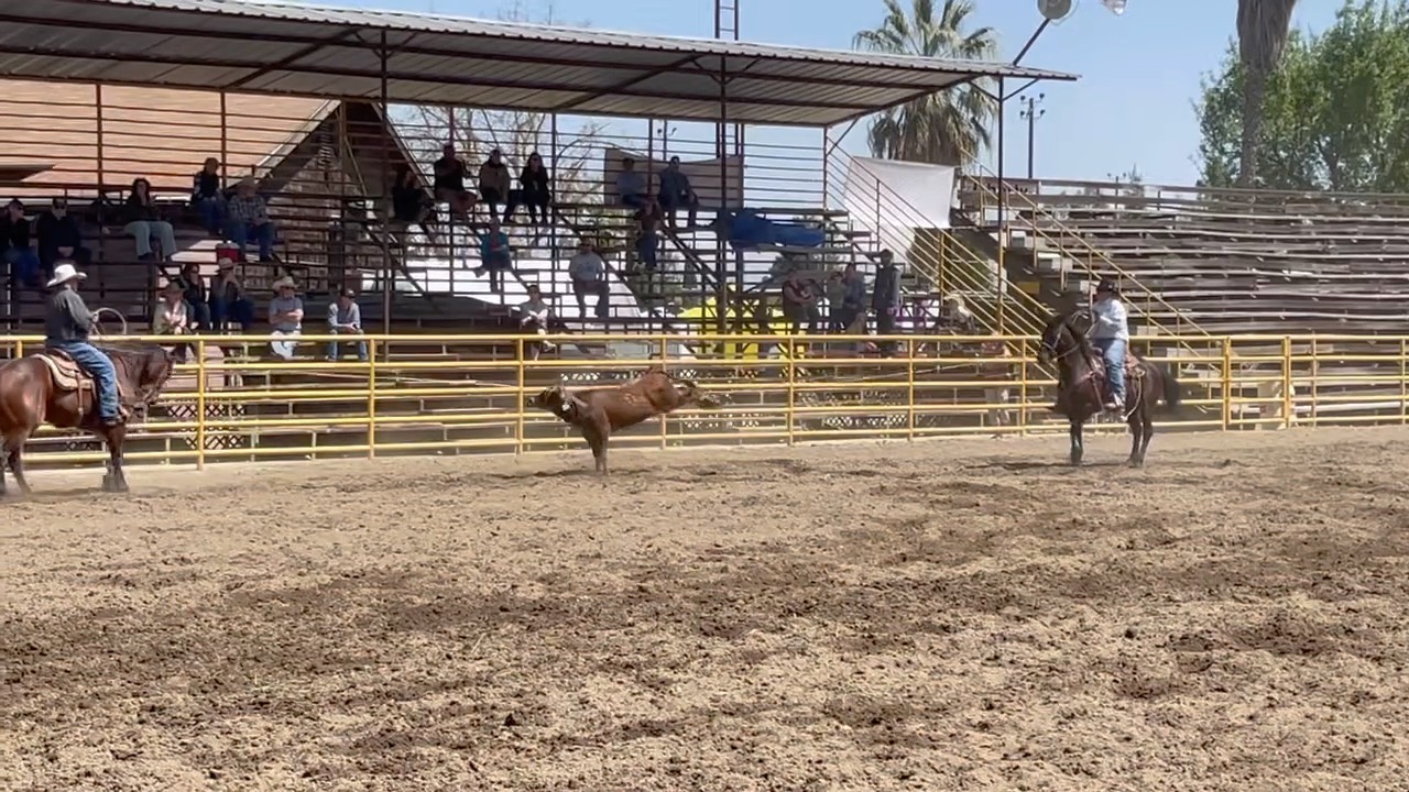 Not many sitting in the stands at Friday slack at the Laton (California ...
