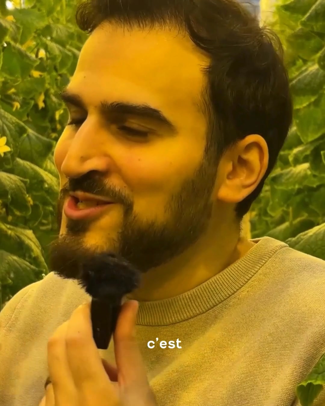 Wassim Abdul Khalek's Lufavore profile - expert in local food adventures!  Stay tuned for his tour of our Ville Saint-Laurent rooftop greenhouse  coming soon.