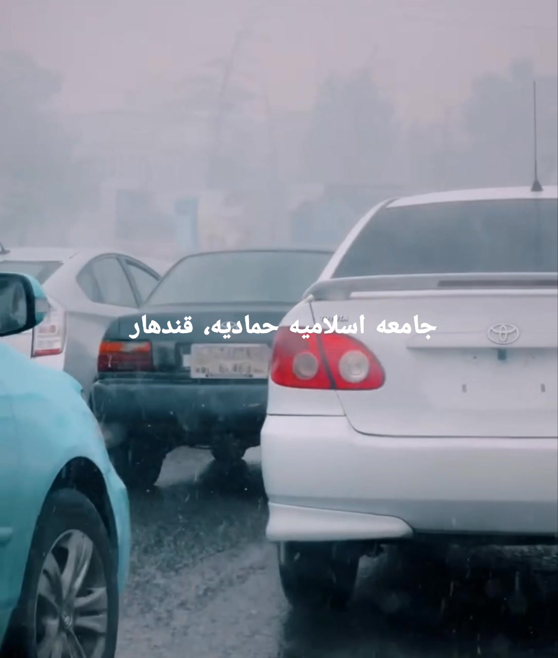 #د #پنځلسي #شپه او #نبوي #هدايت: يادونه: که مناسب بلل د نورو سره يې ...