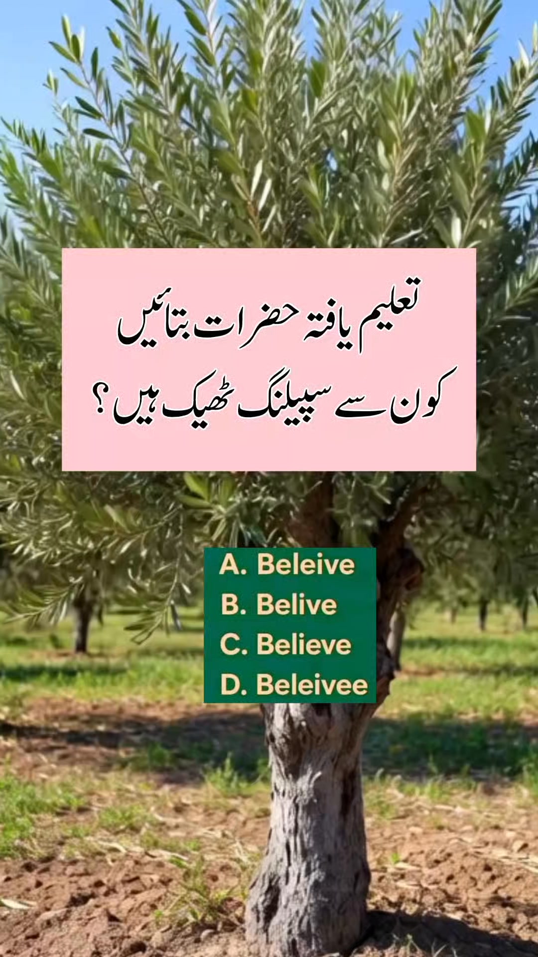 🦋 ️🌺 Urdu Islamic Quiz - Urdu Paheliyan - Islamic Sawal Jawab - Islamic ...